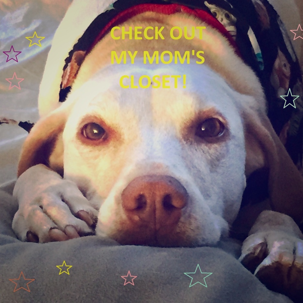 Let’s Make A Deal! - image 1